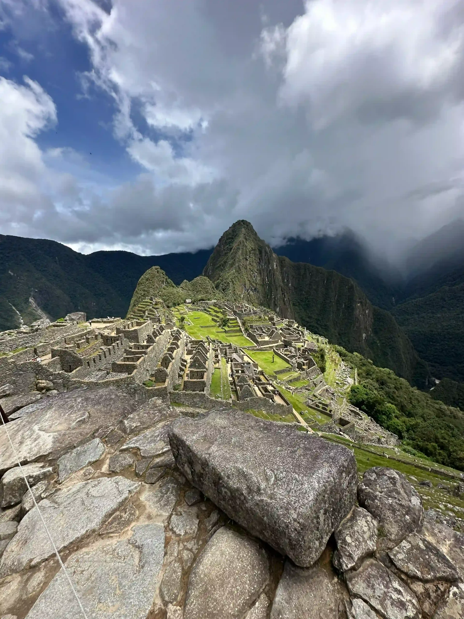 Vegetación tropical