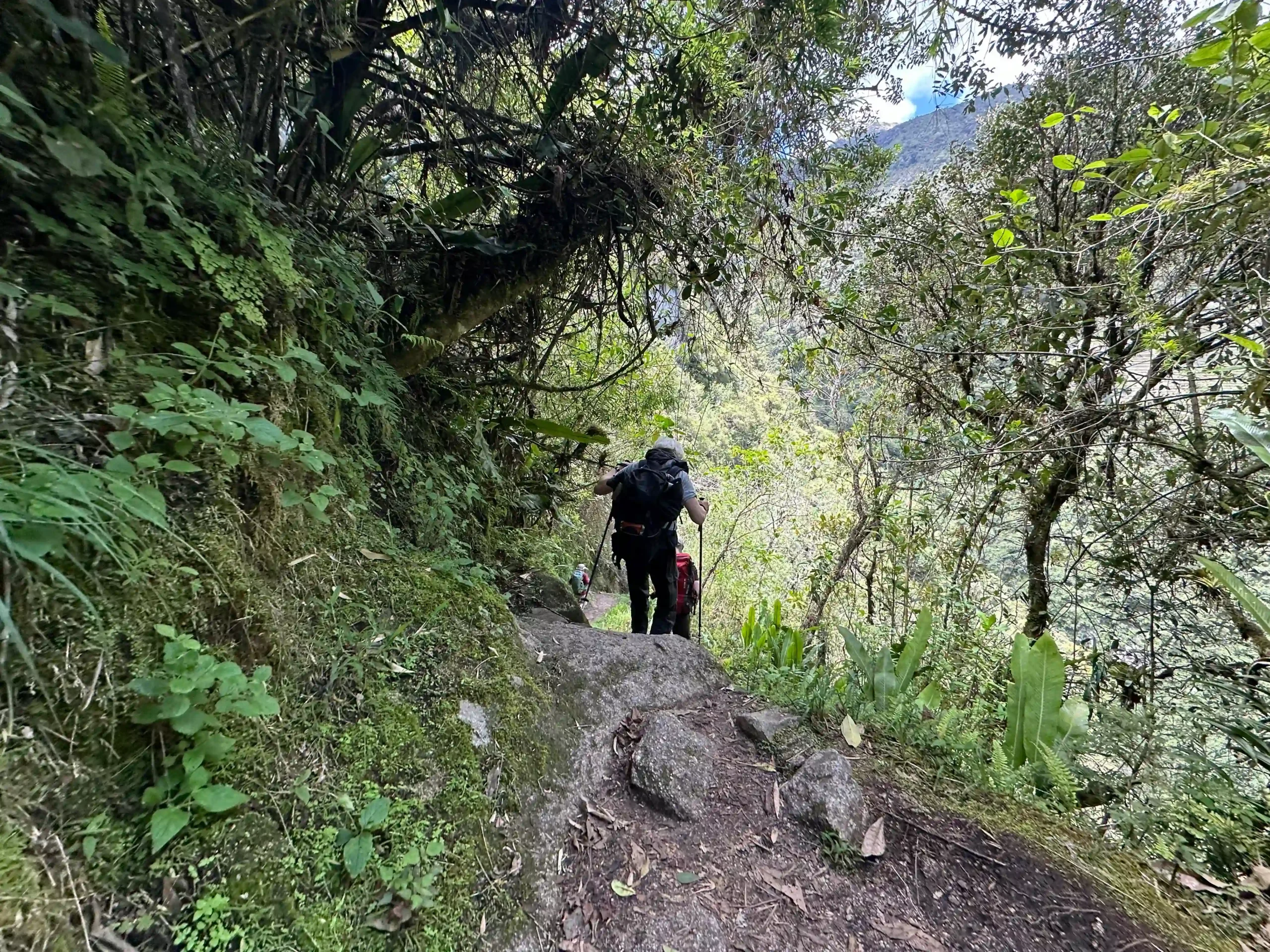 Montañas del camino