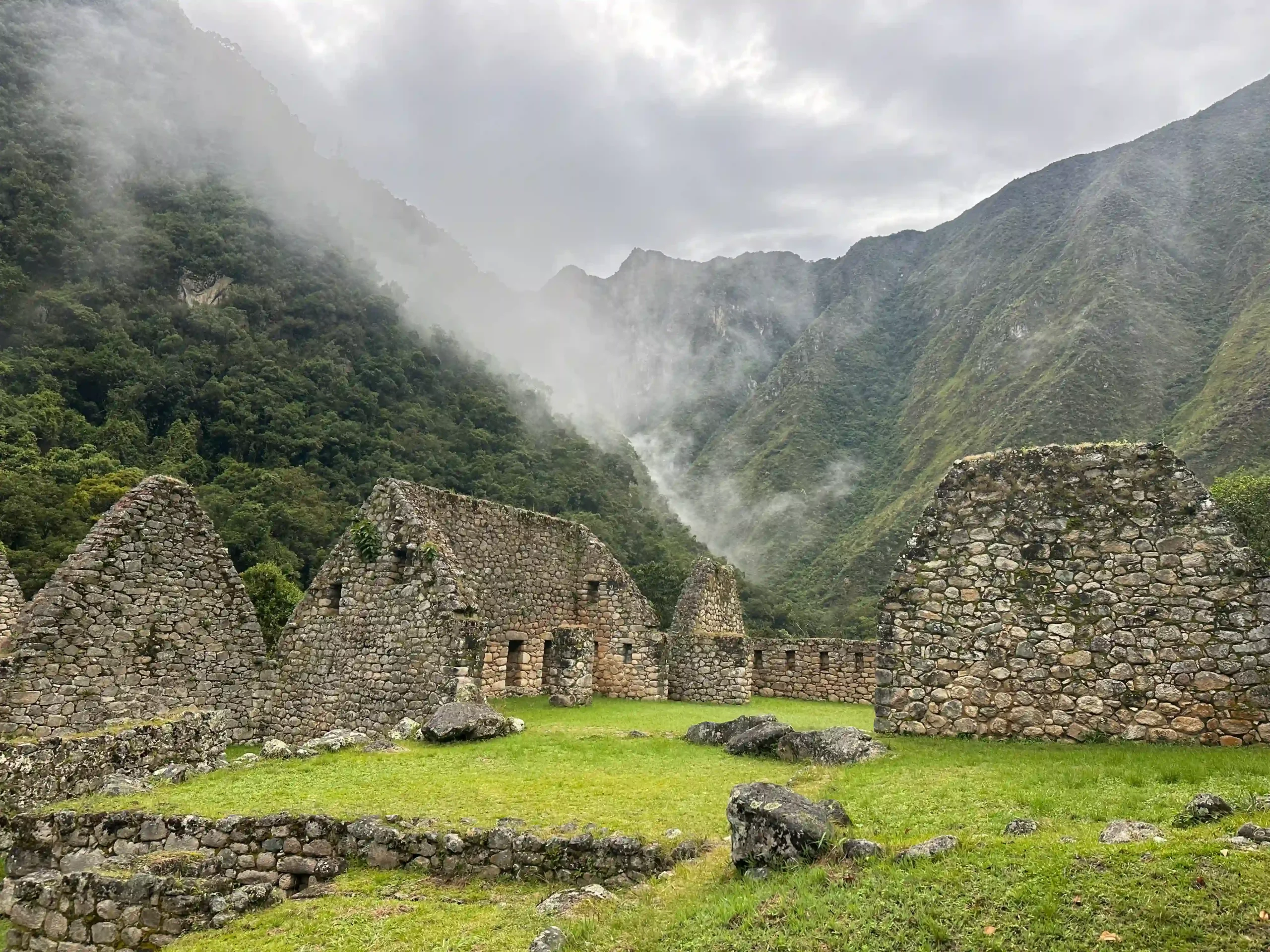 Niebla en las montañas